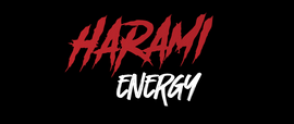 HaramiEnergy